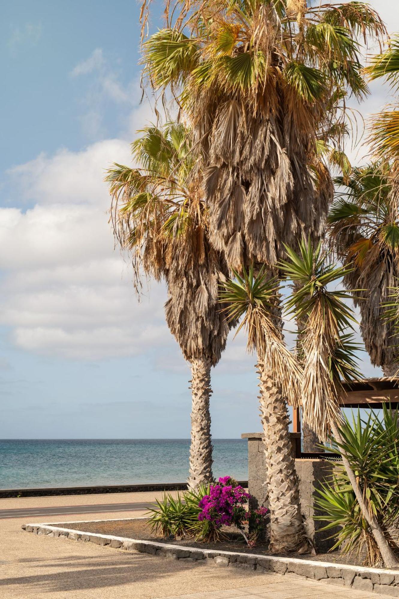 Villa La Casa De La Playa à Puerto del Carmen  Extérieur photo